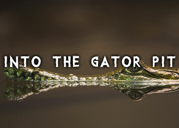 Into the Gator Pit font