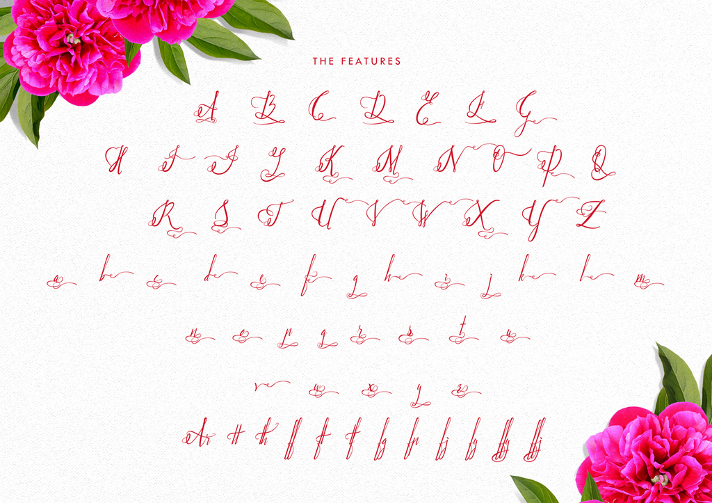 Paradise font