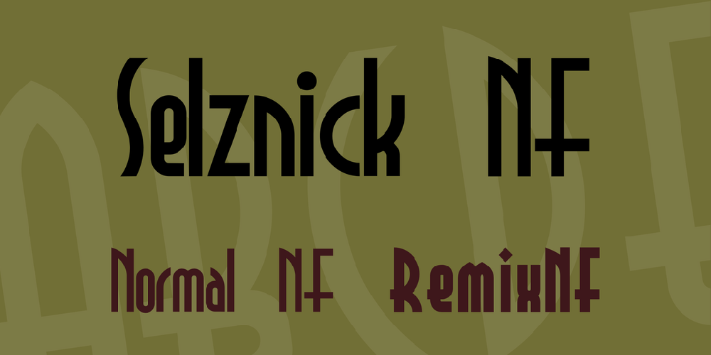 Selznick Normal NF font