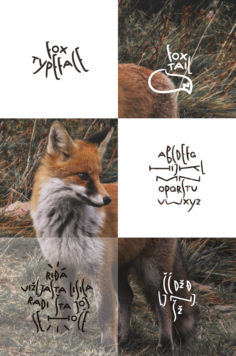 Fox Typeface Fox Tail font