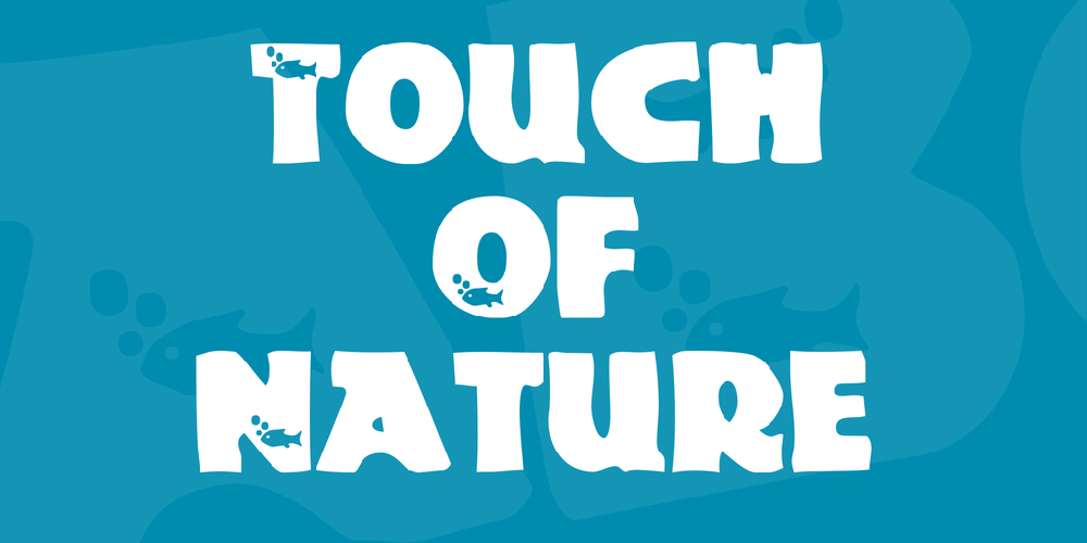 Touch Of Nature font