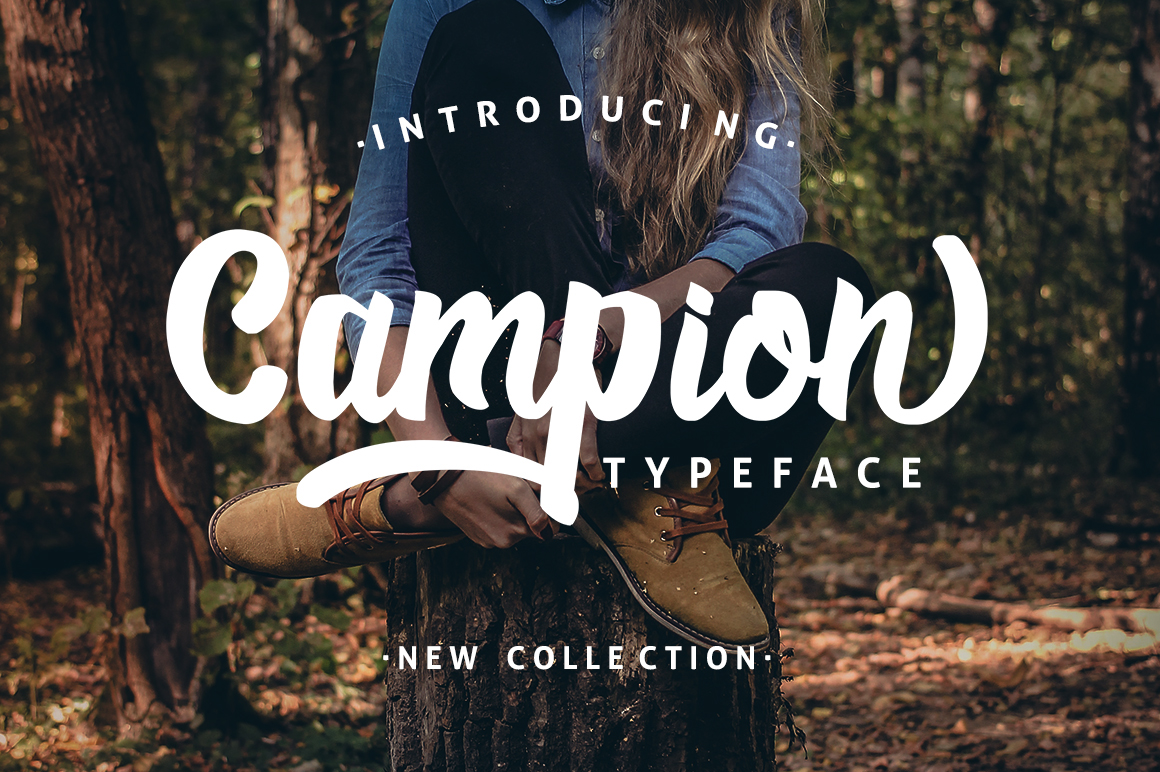 Campion Typeface font