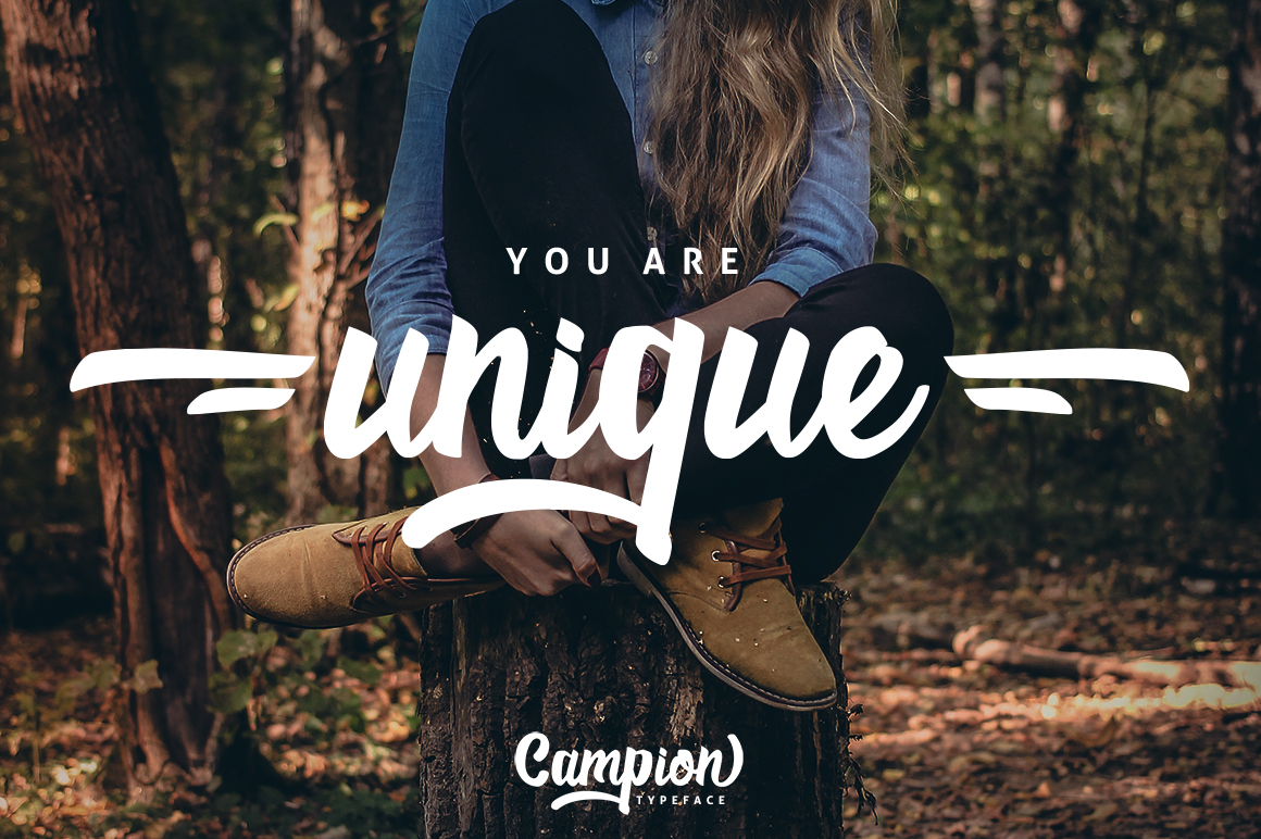 Campion Typeface font