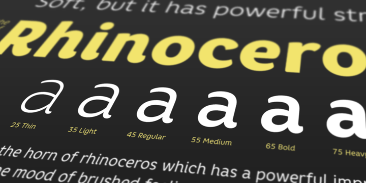Core Rhino 25 Thin font
