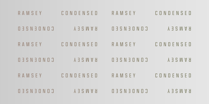 RamseyCondensed-BlackItalic font