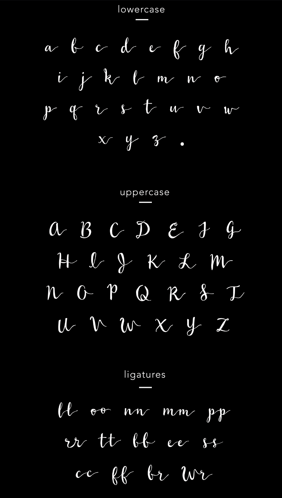 Wildera font