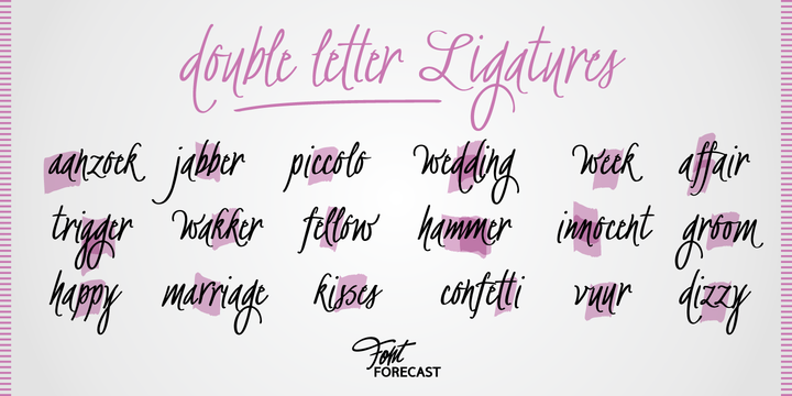 BachelorScript  font