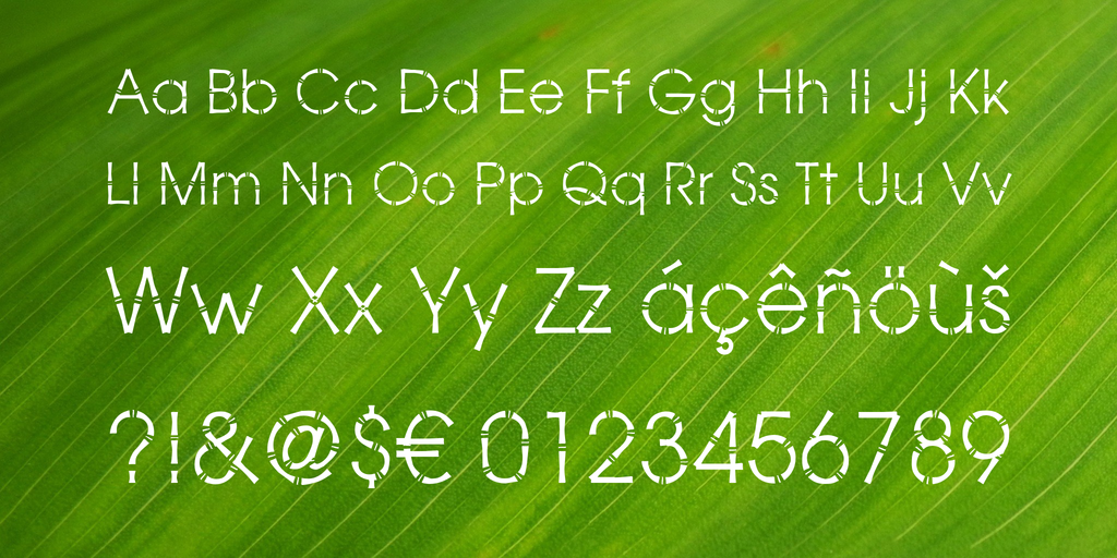 Bamboo Gothic font