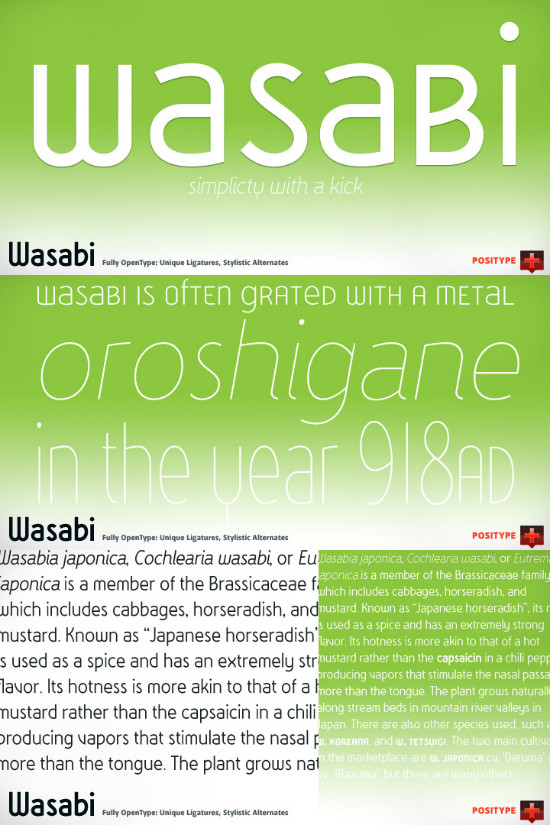 Wasabi-Bold font