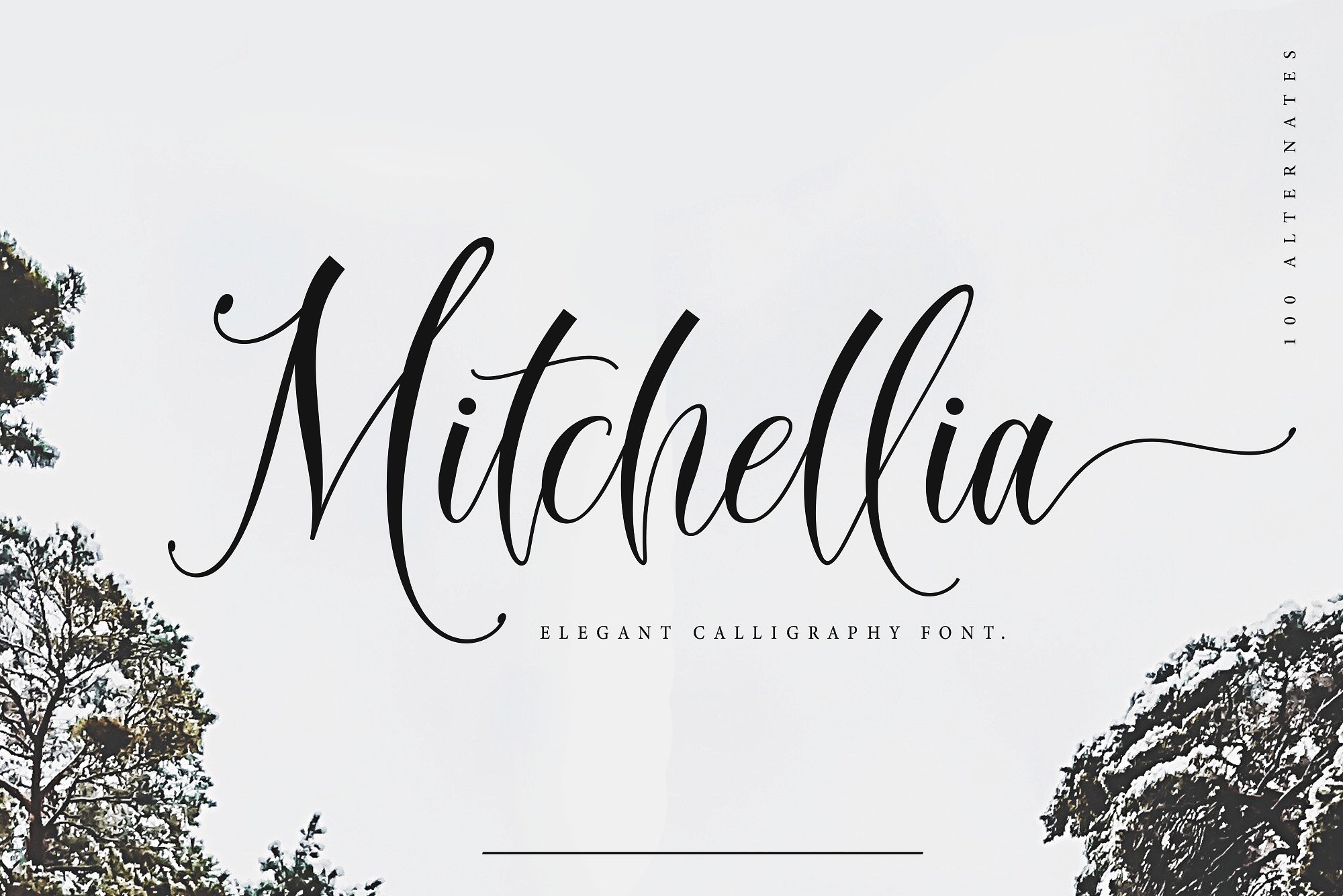 Mitchellia Demo font