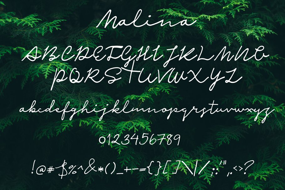 Malina1 font