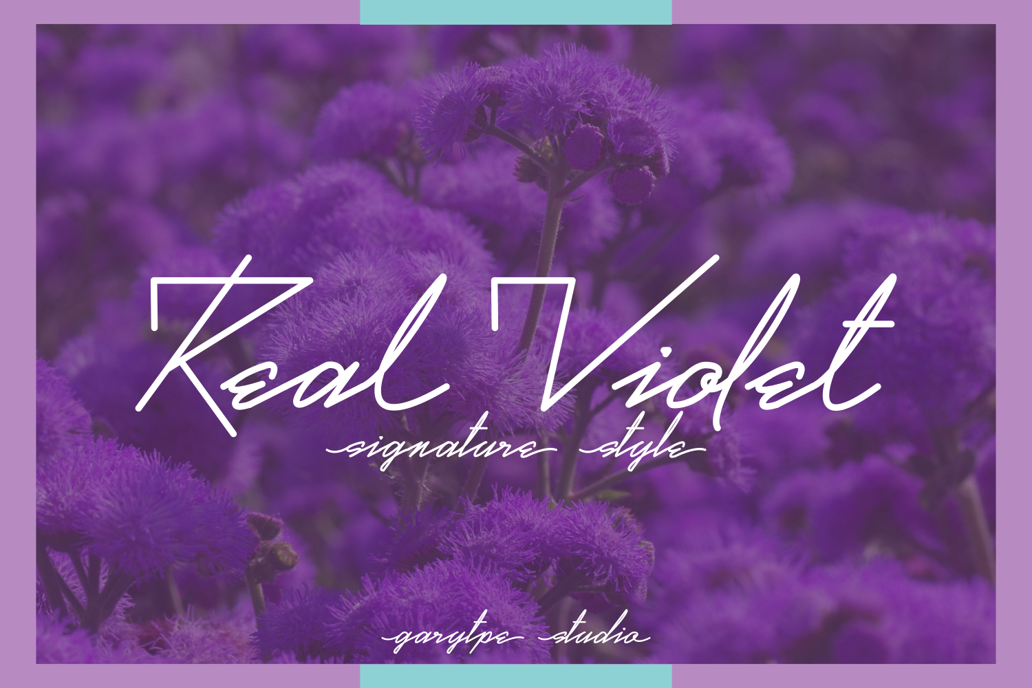 Real Violet Demo font
