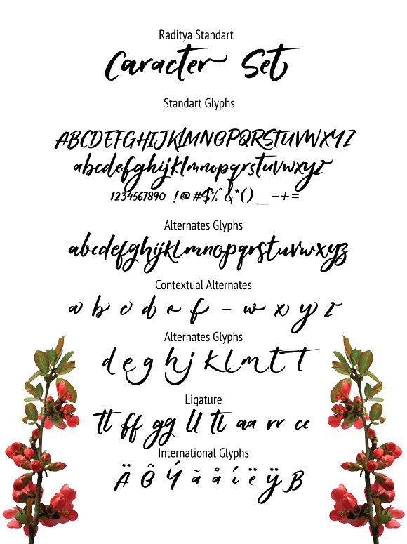 Raditya comic font