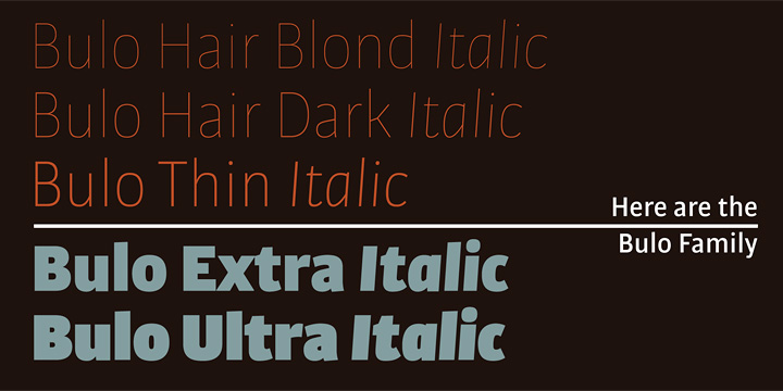 Bulo-BlackItalic font