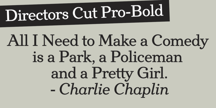 Directors Cut Pro   font