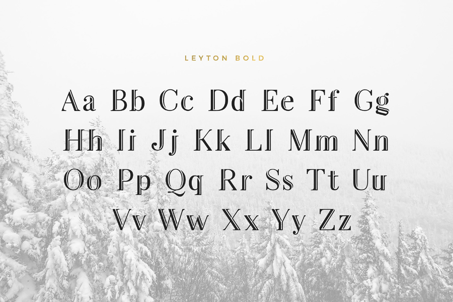 Leyton Personal font