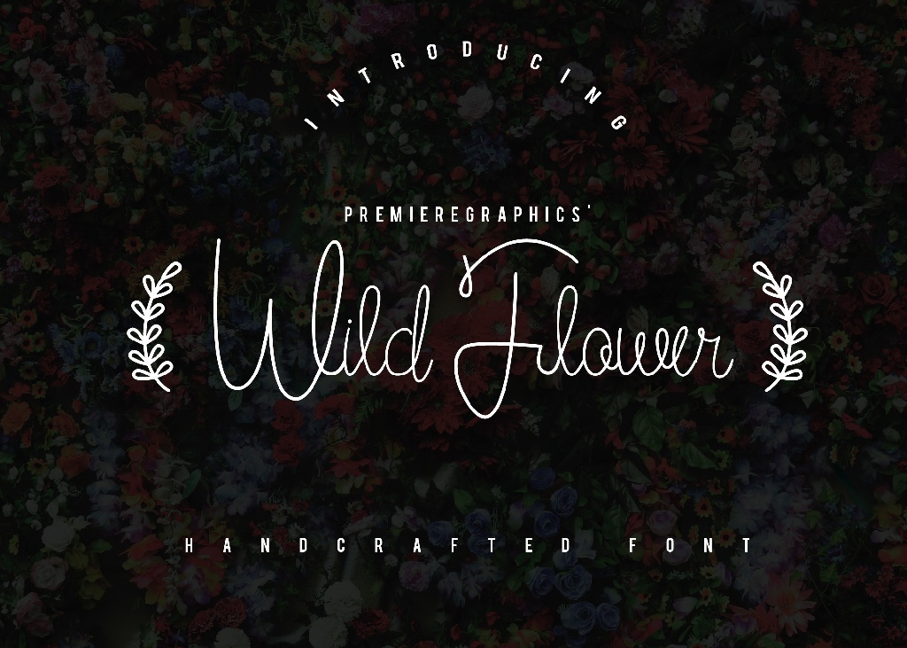 Wild Flower Bold font