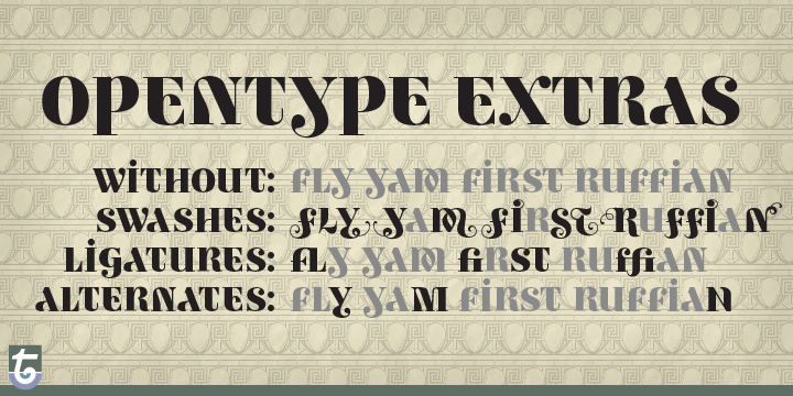 Ambicase Fatface OT font