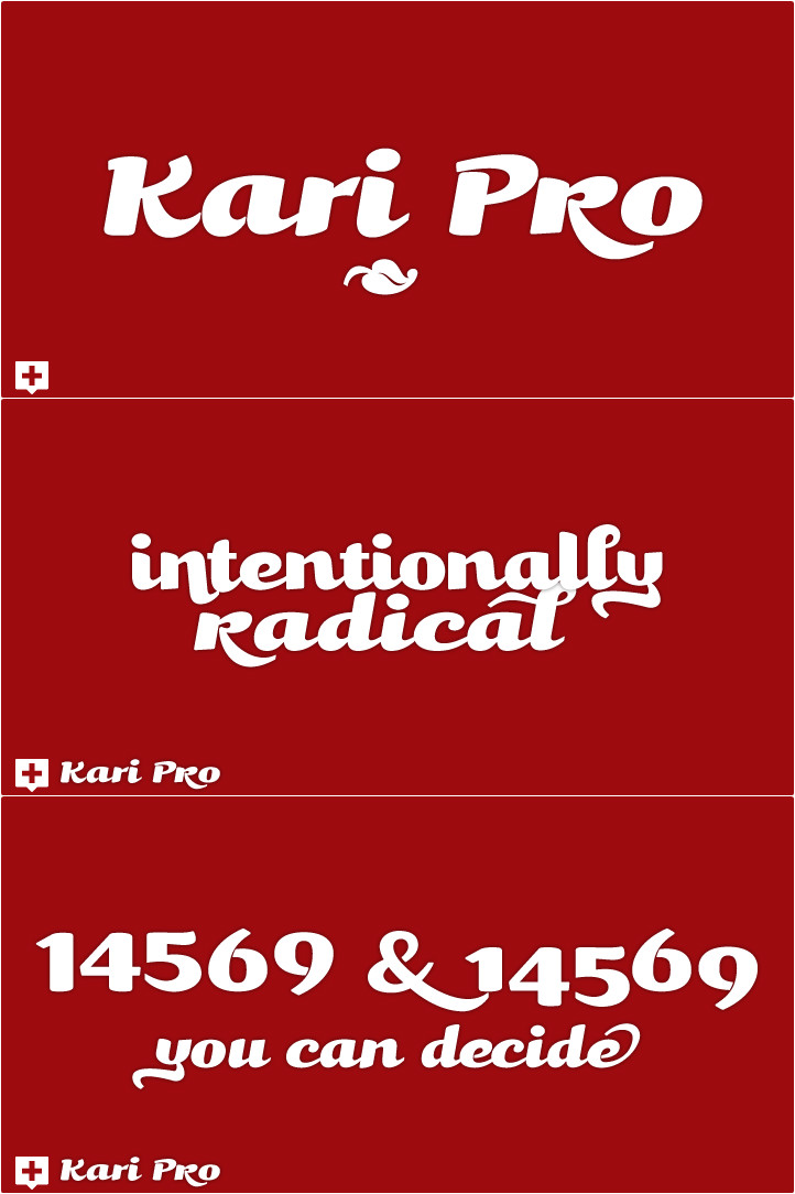 KariPro-Italic font