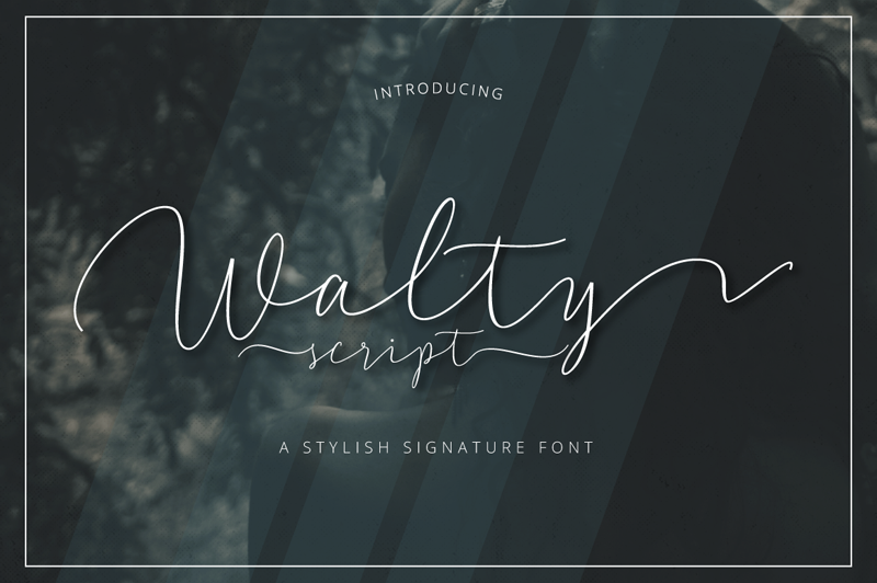 Walty Script font