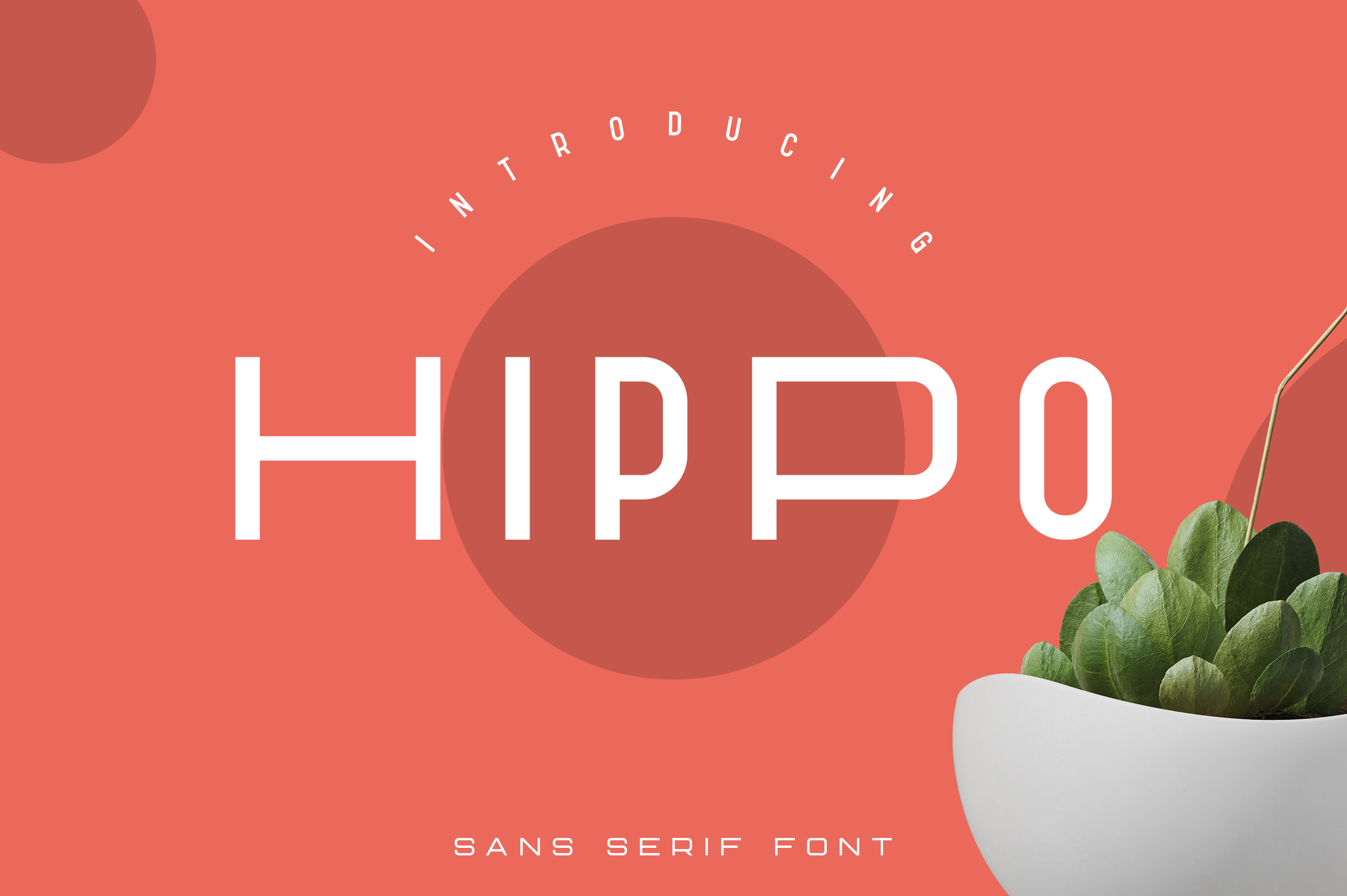 Hippo font