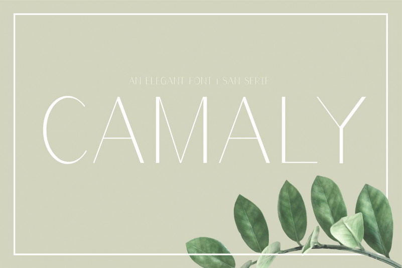 Camaly font