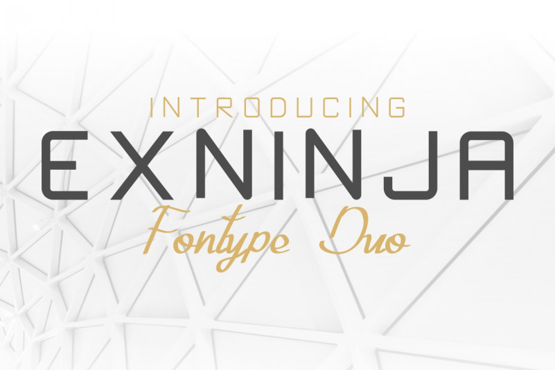 Exninja Demo font