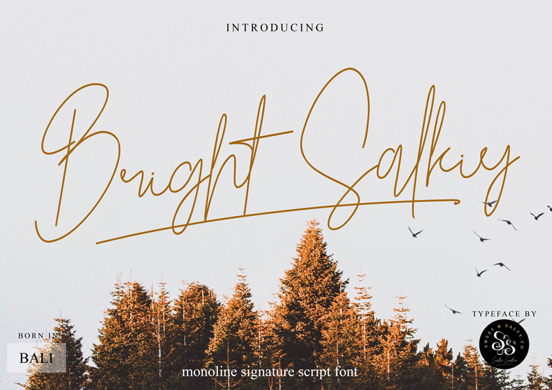 Bright Salkiy font