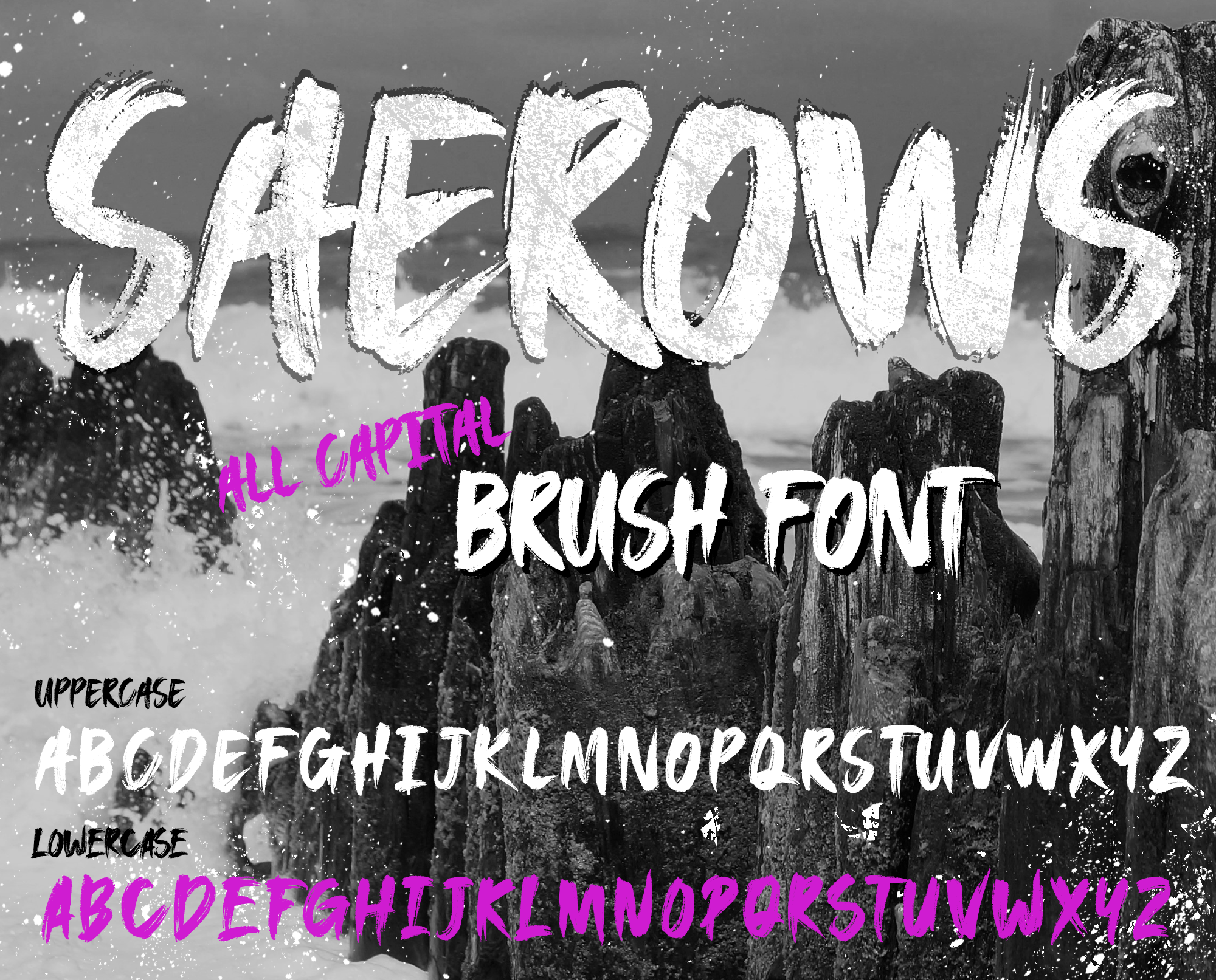 SAEROWS  DEMO font