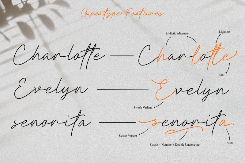 Clathyn Keith Signature Persona font