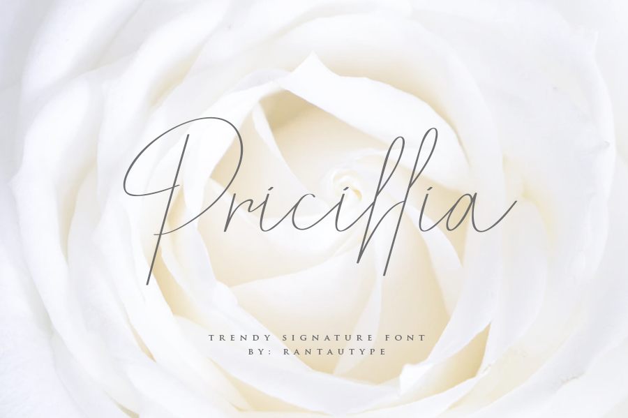 Pricillia font