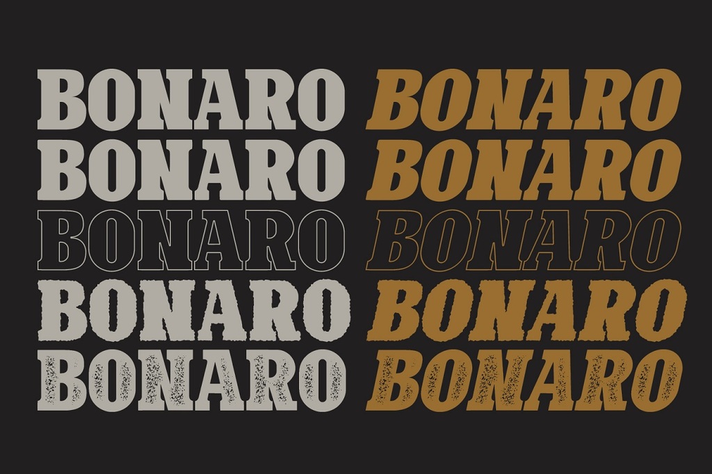 Bonaro Clean Demo font