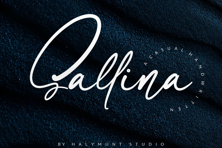 Sallina font