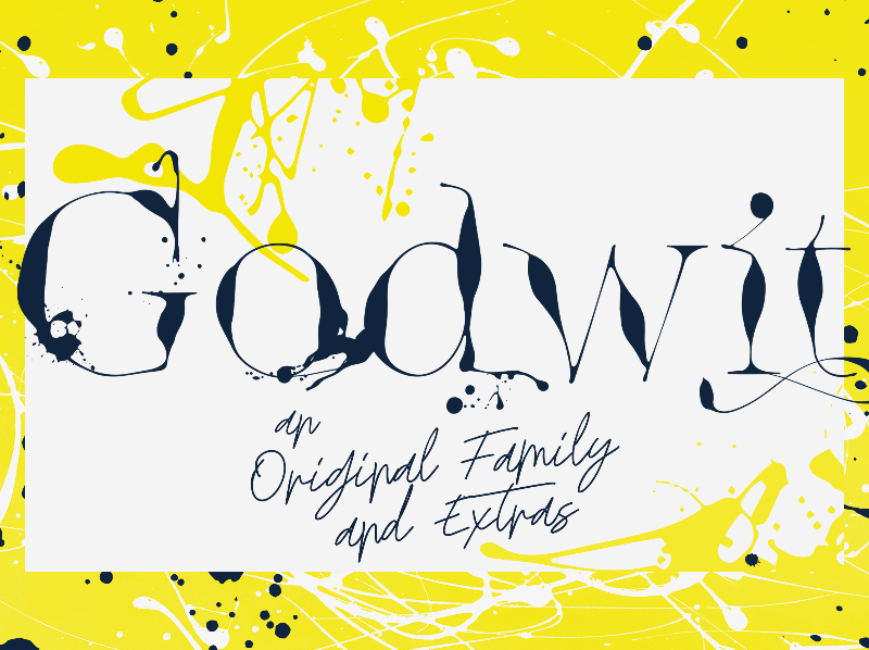 Godwit Signature DEMO Light font
