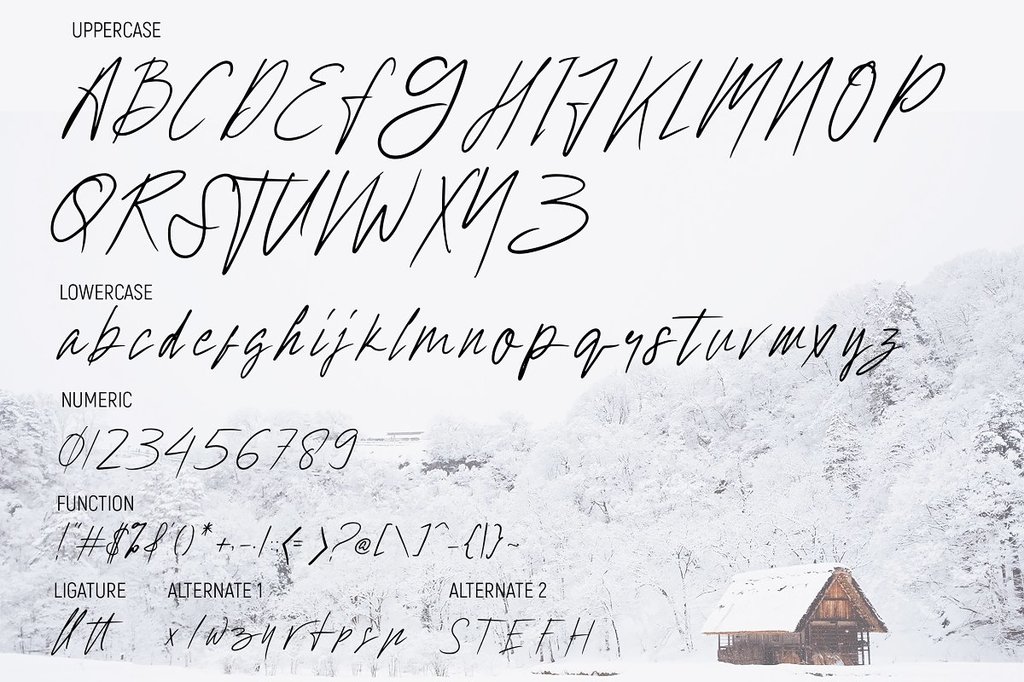 Hollywise font