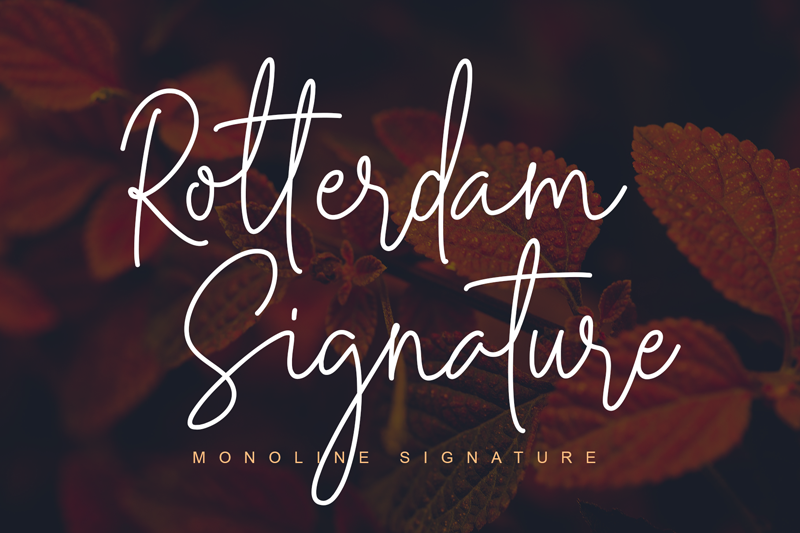 Rotterdam Signature font