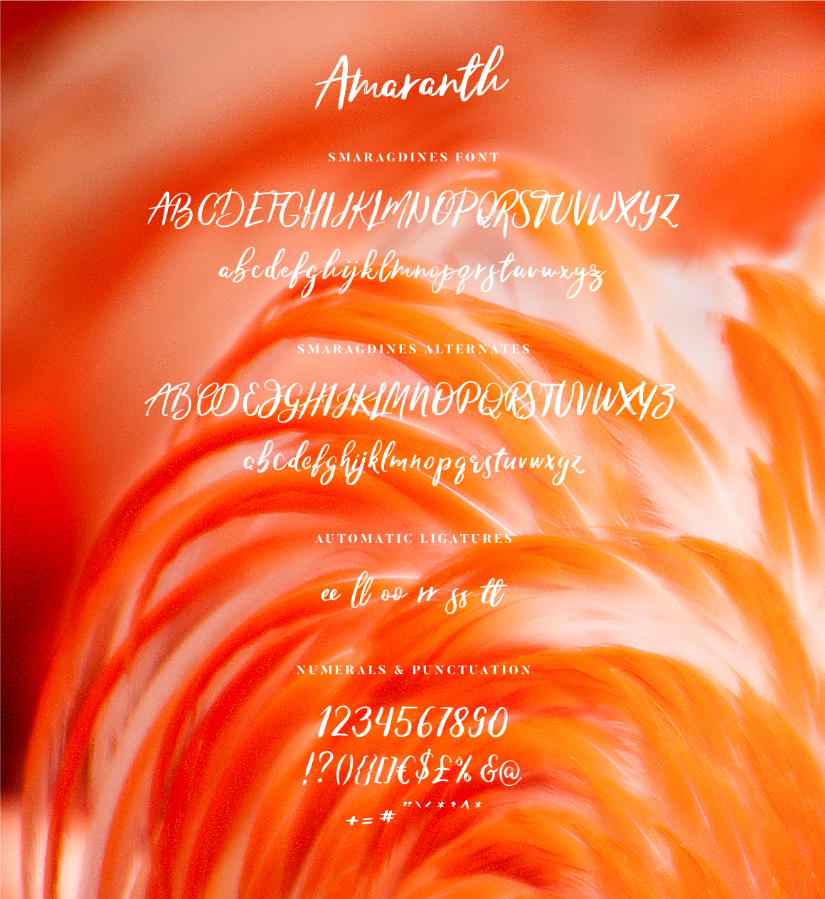 Amaranth font