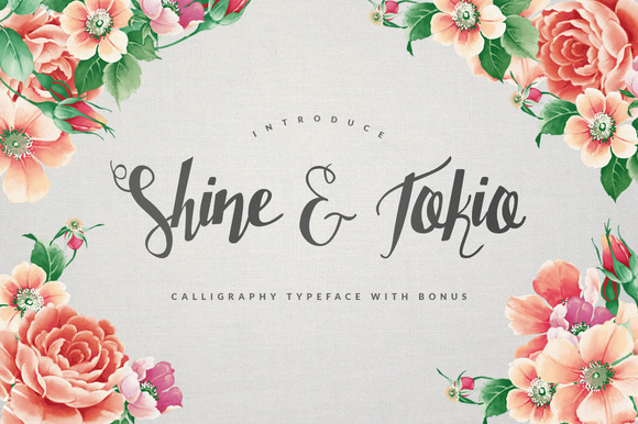 Shine And Tokio font