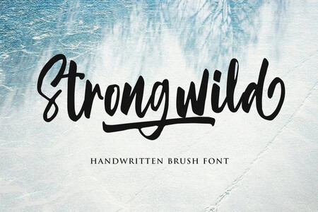 Strongwild Demo font