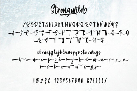 Strongwild Demo font