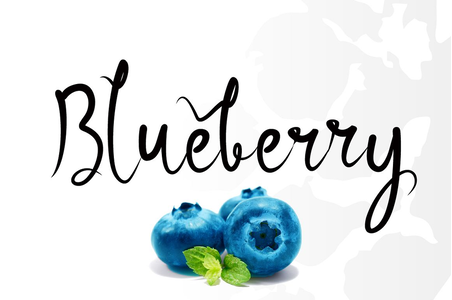 Bluebery font