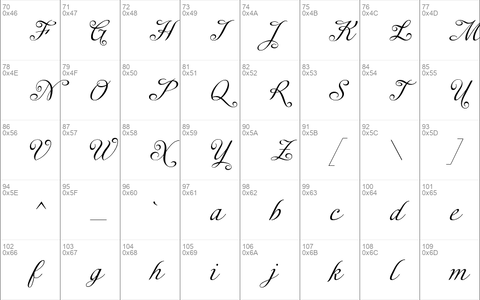 Enocenta Basic Regular