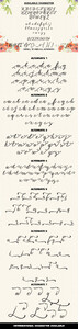 Vanessa Catchword font