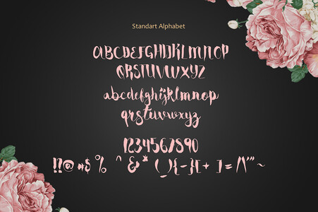 Cassiopea font