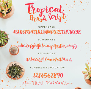 Tropical Brush Script font