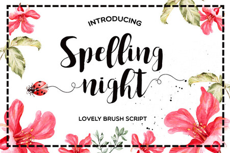 Spelling Night font