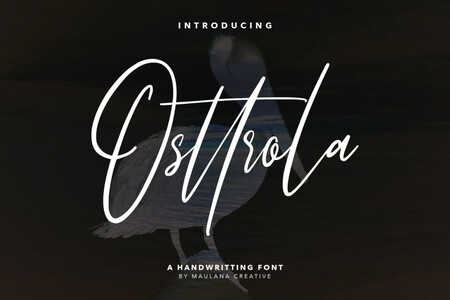 Osttrola Free font