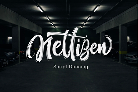 Nettizen Script_TRIAL font