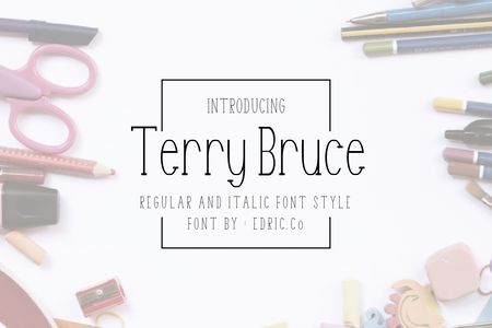 Terry Bruce font