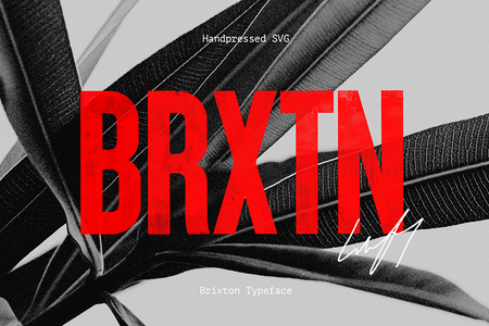 Brixton_Wood_PERSONAL_USE_ONLY font